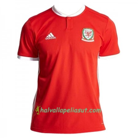 Jalkapallo Pelipaidat Wales Kotipaita 2018